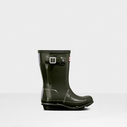 Hunter Original Gloss Wellies (Z521F) Ireland